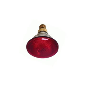 WARMHOUDLAMP 175 W ROOD
