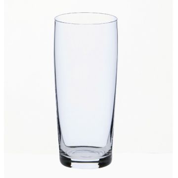 BIERGLAS FLUITJE BUDGETLINE 19CL. DS/12