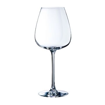 WIJNGLAS GRAND CEPAGE DS/6