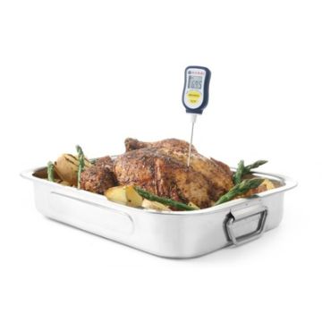 DIGITALE THERMOMETER MET SONDE
