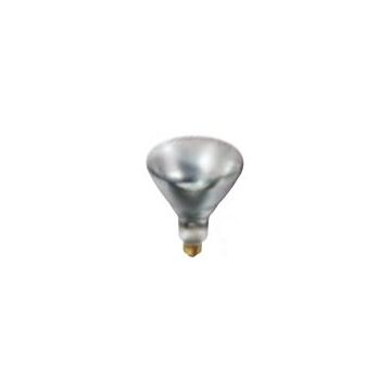 WARMHOUDLAMP 250W WIT