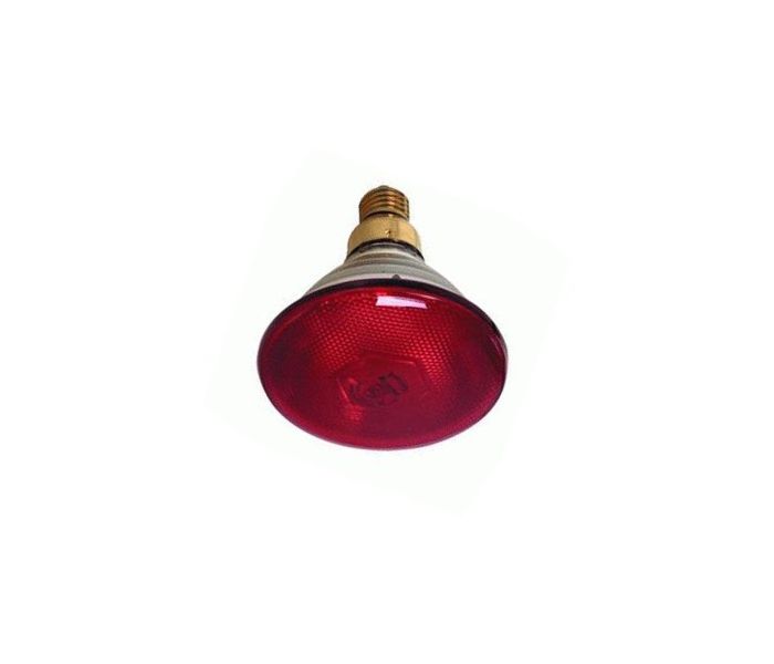 WARMHOUDLAMP 175 W ROOD