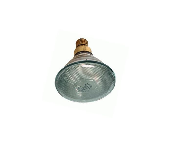 WARMHOUDLAMP 175 W WIT