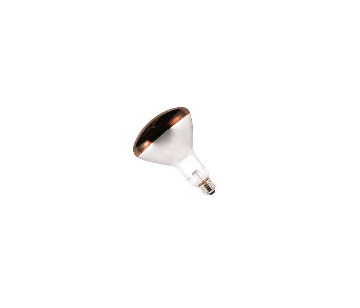 WARMHOUDLAMP ROOD 250W