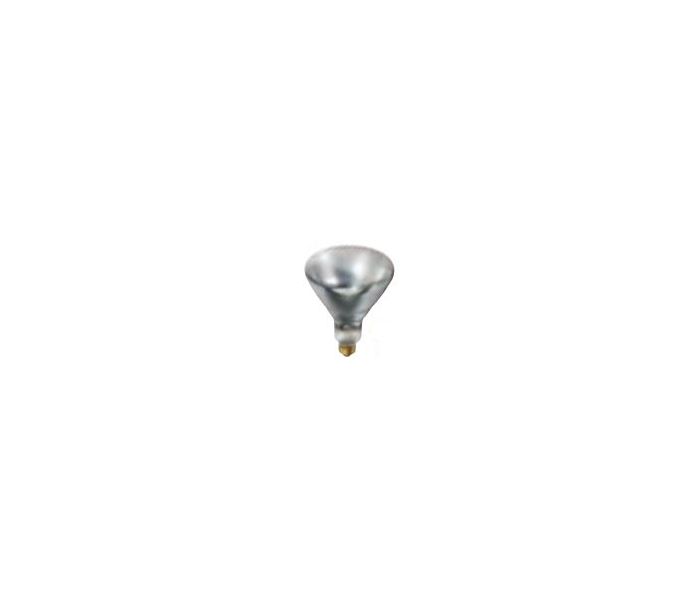 WARMHOUDLAMP 250W WIT
