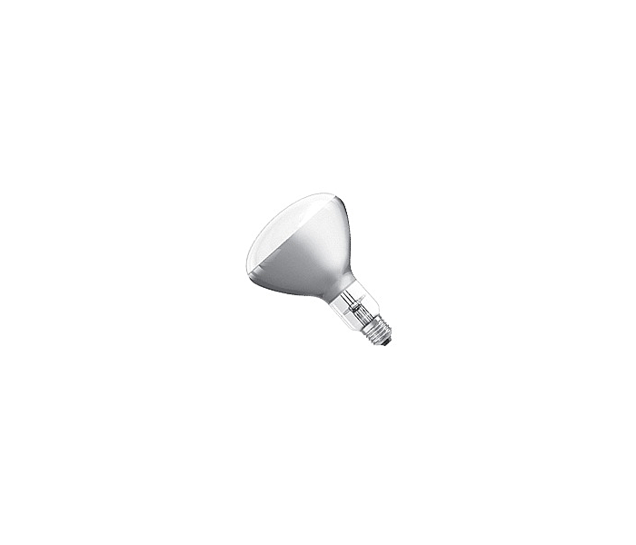 WARMHOUDLAMP  WIT 250W