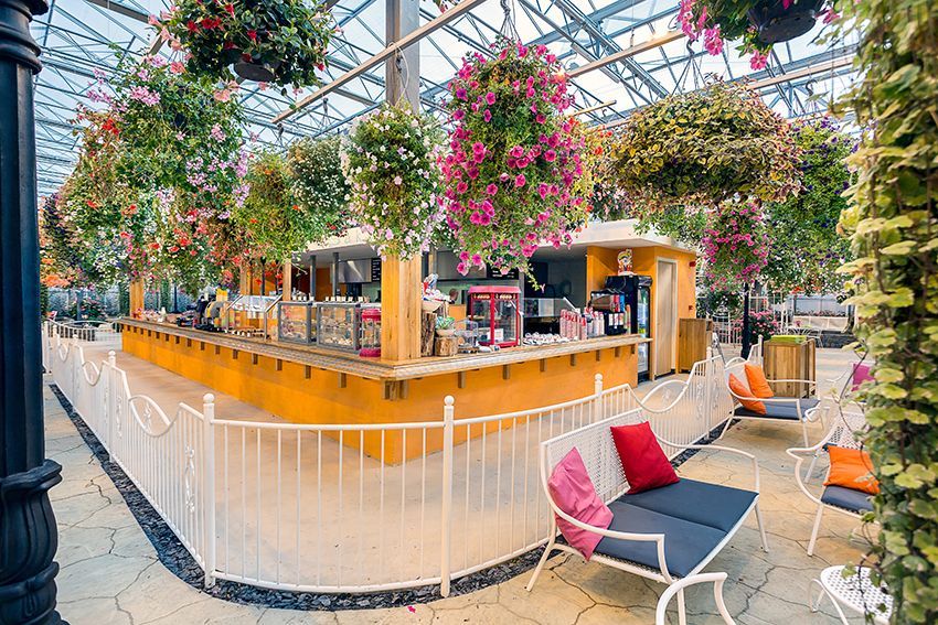 De Orchideeënhoeve