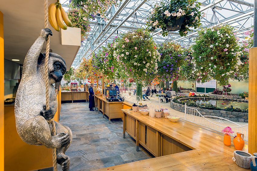 De Orchideeënhoeve