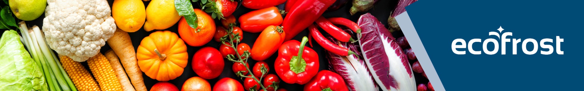 Header_Ecofrost